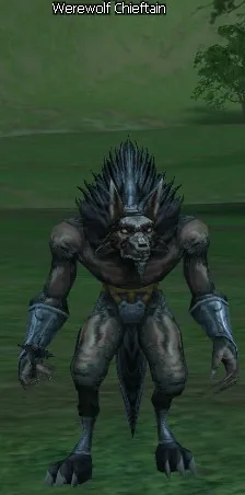 Werewolf Chieftain in Lineage 2 High Five