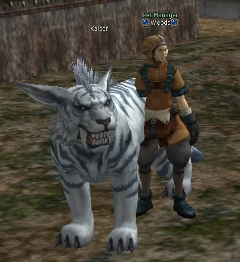 Woods in Lineage 2 Interlude