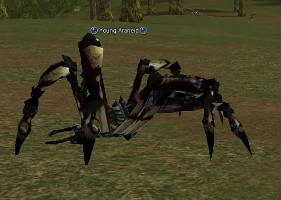 Young Araneid in Lineage 2 High Five