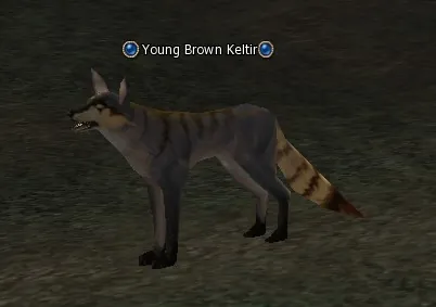 Young Brown Keltir in Lineage 2 Interlude