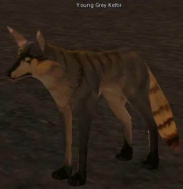 Young Grey Keltir in Lineage 2 High Five