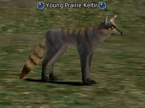 Young Prairie Keltir in Lineage 2 Interlude